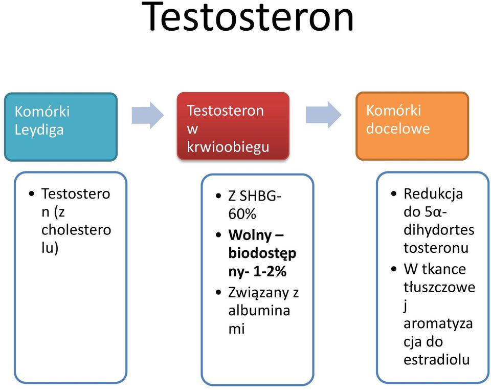 biodostęp ny- 1-2% Związany z albumina mi Redukcja do