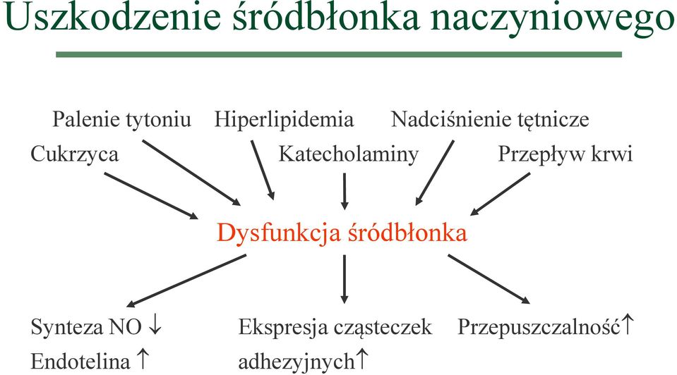 Katecholaminy Przepływ krwi Dysfunkcja śródbłonka