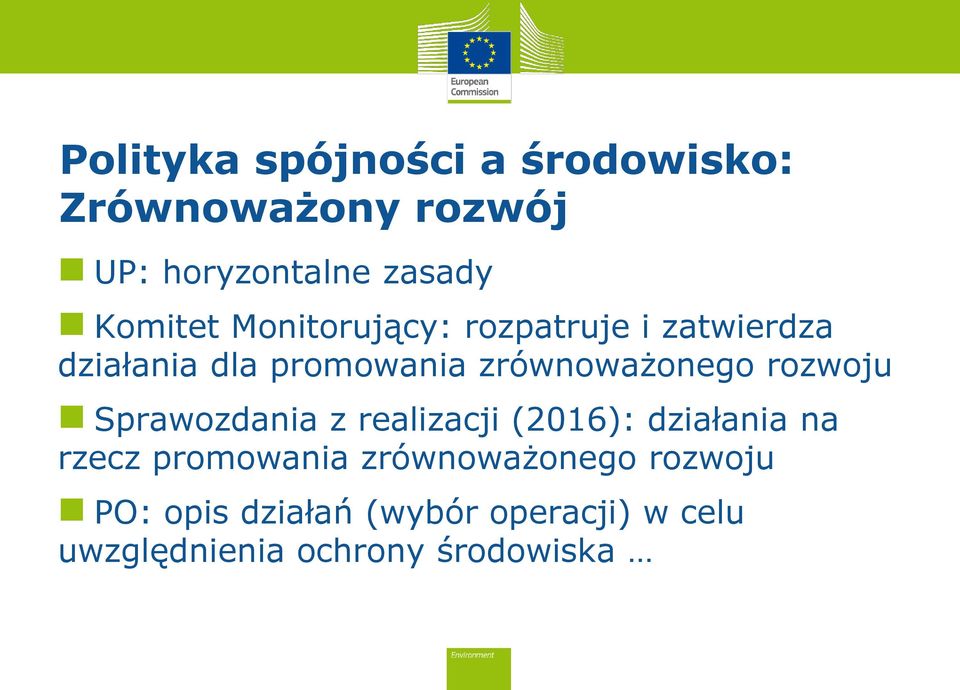 zrównoważonego rozwoju Sprawozdania z realizacji (2016): działania na rzecz