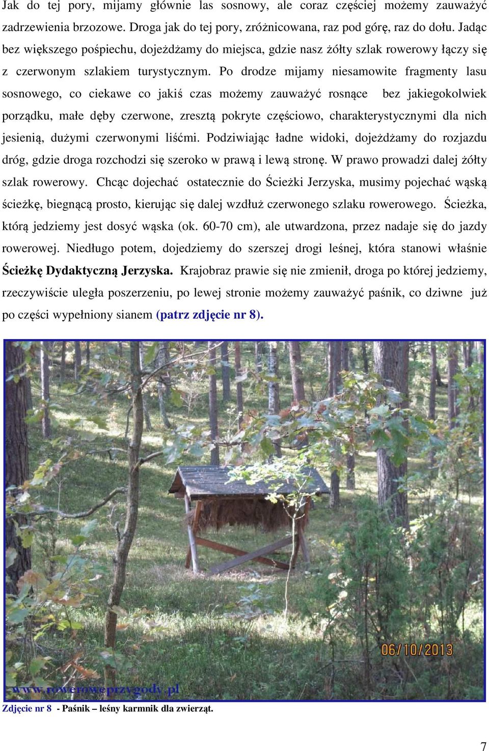 Po drodze mijamy niesamowite fragmenty lasu sosnowego, co ciekawe co jakiś czas możemy zauważyć rosnące bez jakiegokolwiek porządku, małe dęby czerwone, zresztą pokryte częściowo, charakterystycznymi