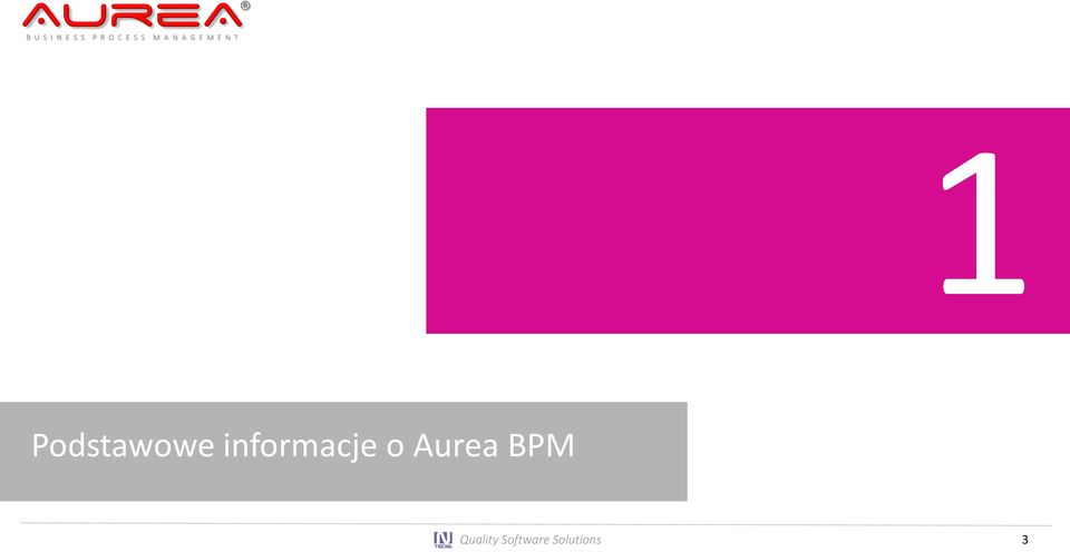 Aurea BPM