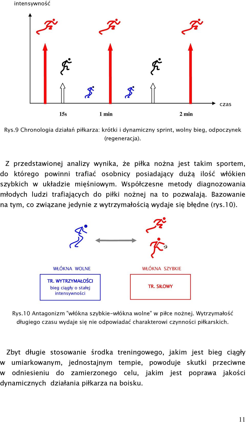 Współczesne metody diagnozowania młodych ludzi trafiających do piłki noŝnej na to pozwalają. Bazowanie na tym, co związane jedynie z wytrzymałością wydaje się błędne (rys.10). WŁÓKNA WOLNE TR.