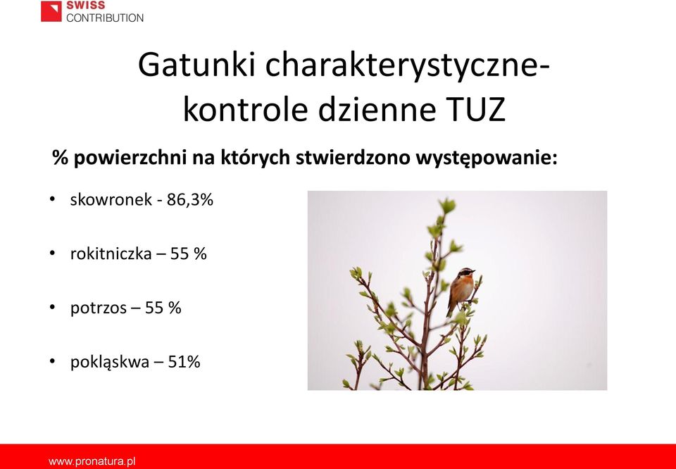 stwierdzono występowanie: skowronek -