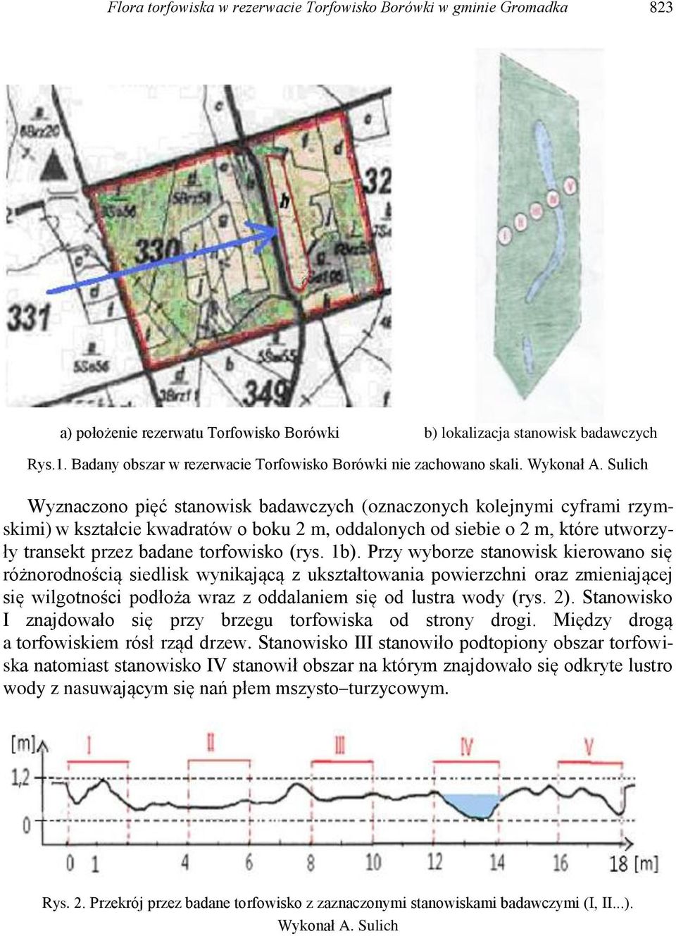 Sulich Wyznaczono pięć stanowisk badawczych (oznaczonych kolejnymi cyframi rzymskimi) w kształcie kwadratów o boku 2 m, oddalonych od siebie o 2 m, które utworzyły transekt przez badane torfowisko