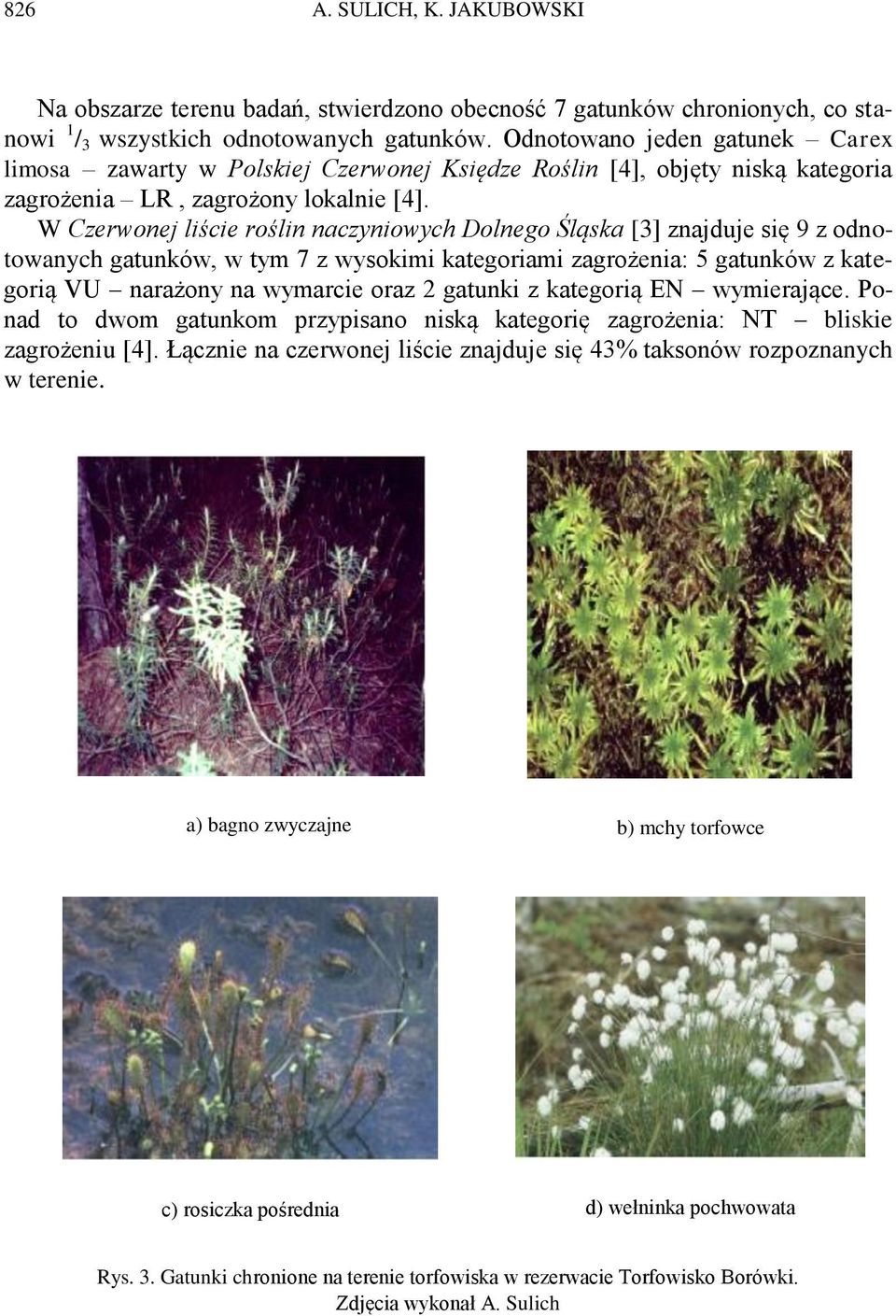 W Czerwonej liście roślin naczyniowych Dolnego Śląska [3] znajduje się 9 z odnotowanych gatunków, w tym 7 z wysokimi kategoriami zagrożenia: 5 gatunków z kategorią VU narażony na wymarcie oraz 2