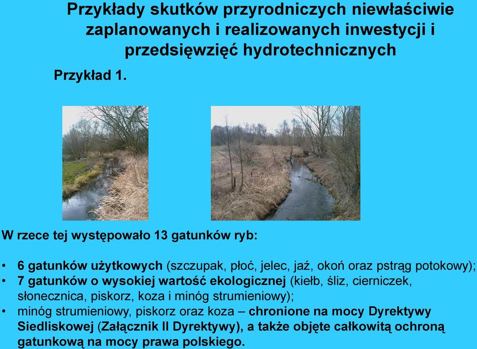 wysokiej wartość ekologicznej (kiełb, śliz, cierniczek, słonecznica, piskorz, koza i minóg strumieniowy); minóg strumieniowy, piskorz