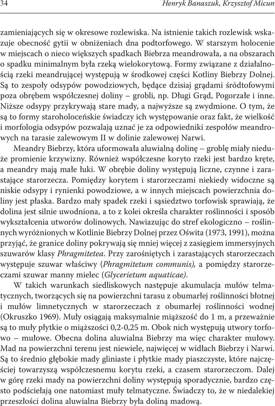 Formy związane z działalnością rzeki meandrującej występują w środkowej części Kotliny Biebrzy Dolnej.