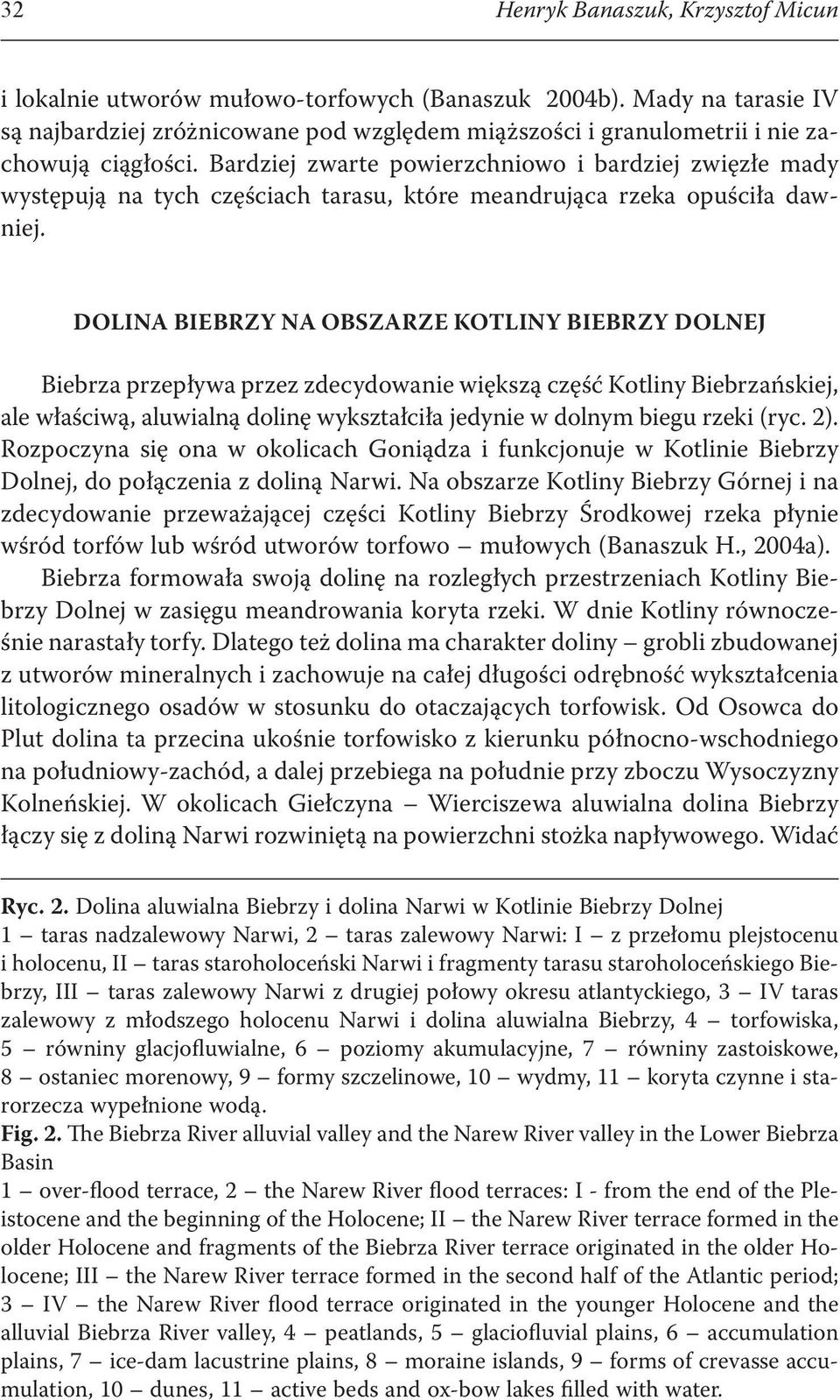 Bardziej zwarte powierzchniowo i bardziej zwięzłe mady występują na tych częściach tarasu, które meandrująca rzeka opuściła dawniej.