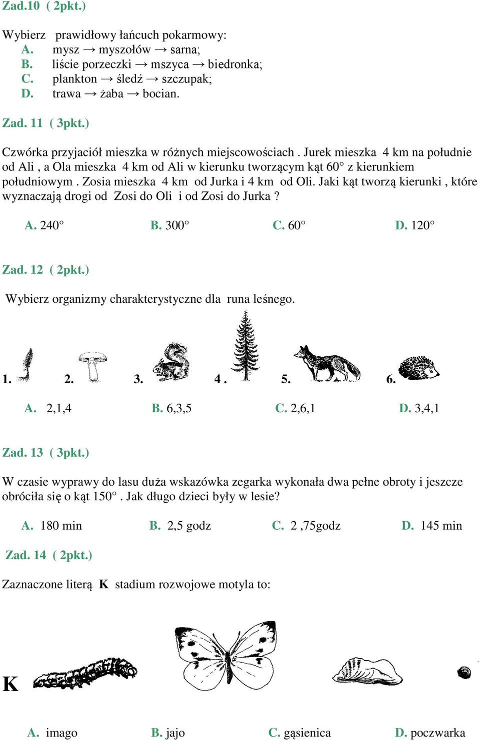 Zosia mieszka 4 km od Jurka i 4 km od Oli. Jaki kąt tworzą kierunki, które wyznaczają drogi od Zosi do Oli i od Zosi do Jurka? A. 240 B. 300 C. 60 D. 120 Zad. 12 ( 2pkt.