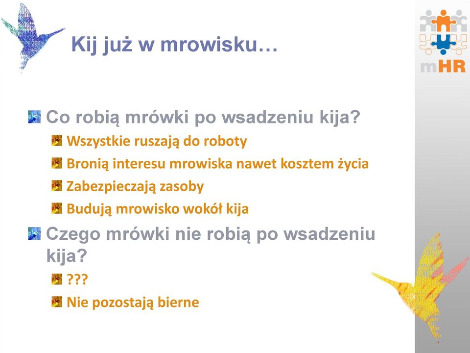 kosztem życia Zabezpieczają zasoby Budują mrowisko wokół
