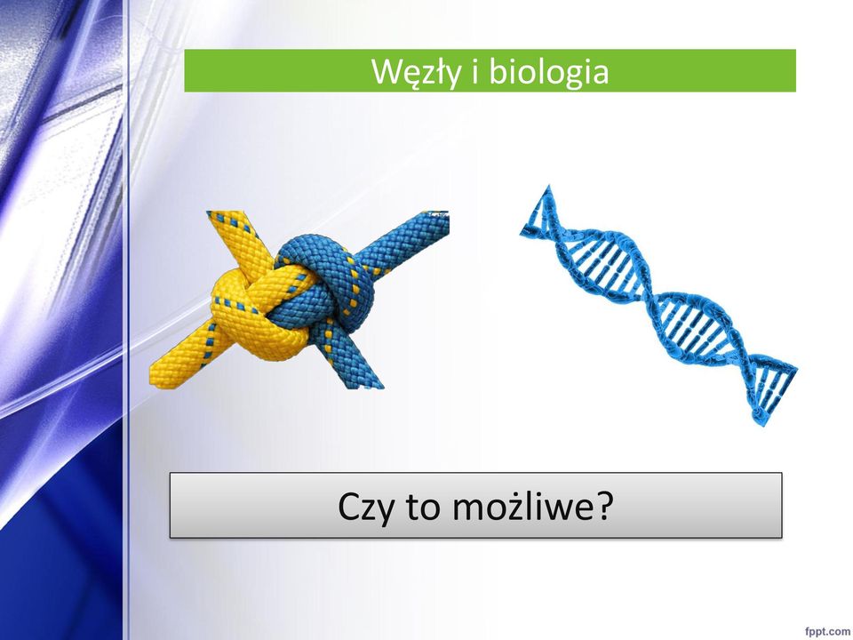 Czy to