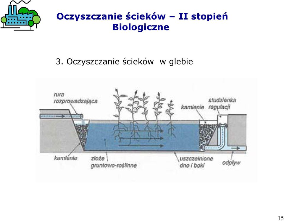 Biologiczne 3.