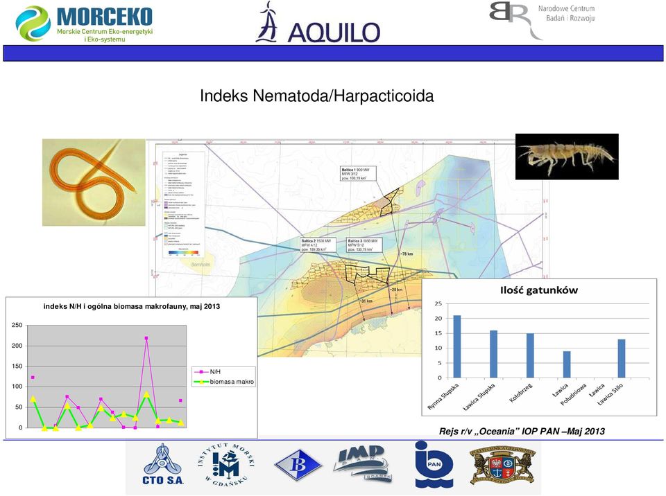 2013 250 200 150 100 N/H biomasa