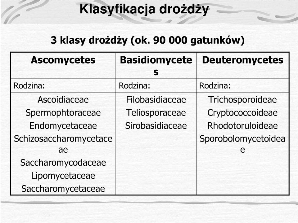Schizosaccharomycetace ae Saccharomycodaceae Lipomycetaceae Saccharomycetaceae Basidiomycete