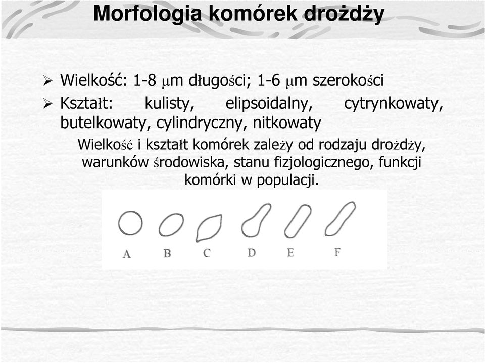 cylindryczny, nitkowaty Wielkość i kształt komórek zaleŝy od rodzaju