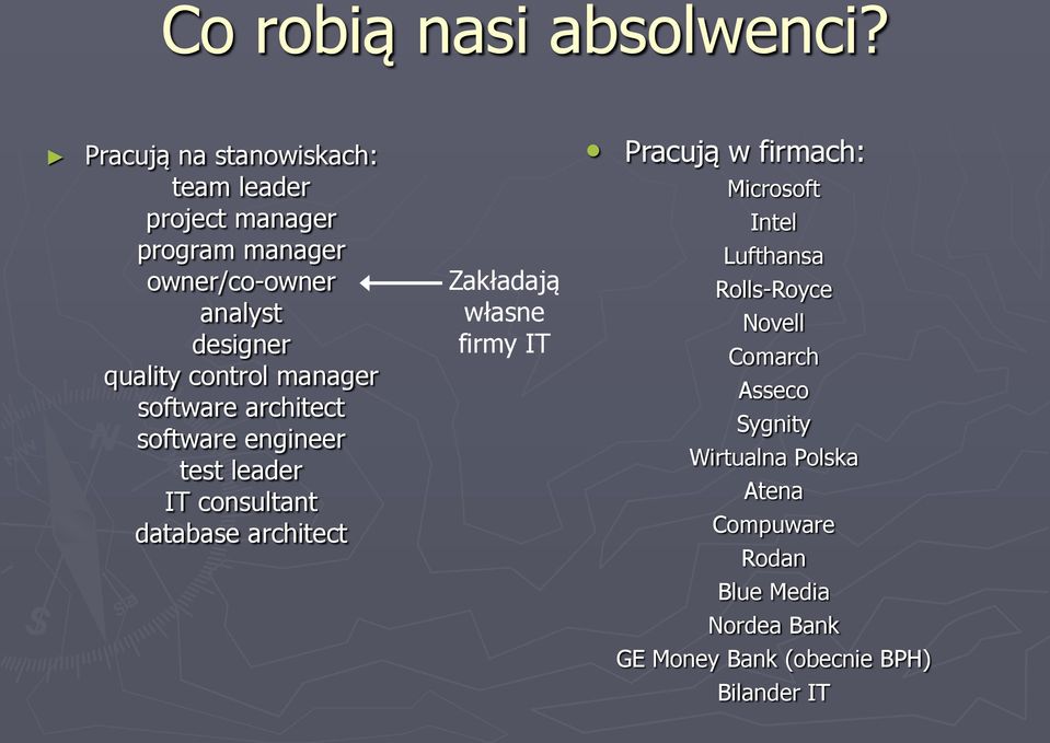 control manager software architect software engineer test leader IT consultant database architect Zakładają