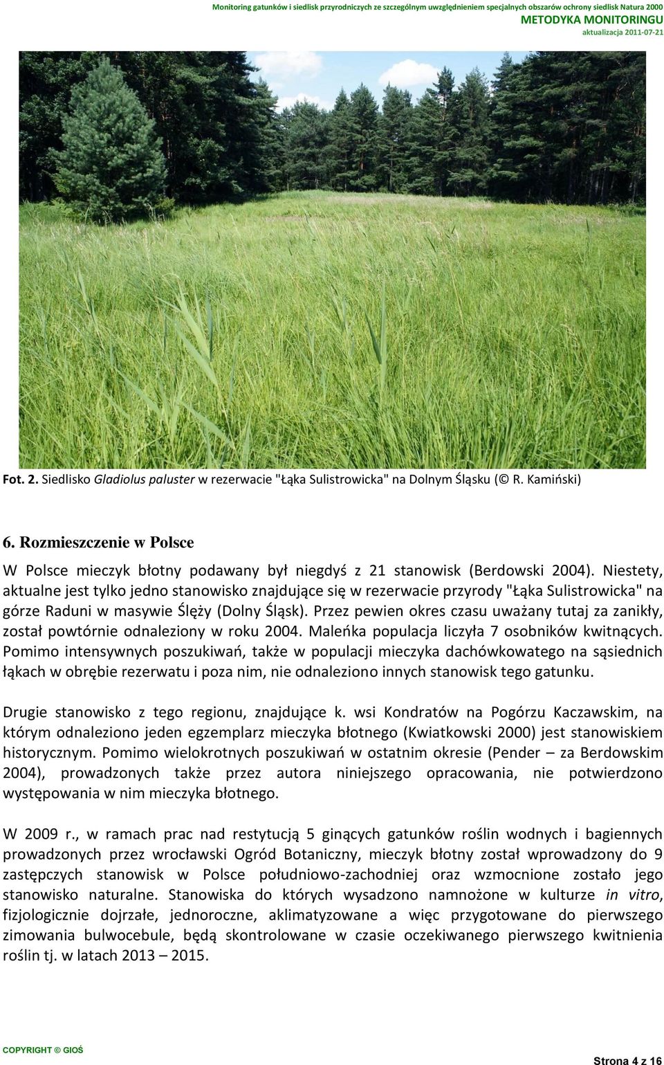 Niestety, aktualne jest tylko jedno stanowisko znajdujące się w rezerwacie przyrody "Łąka Sulistrowicka" na górze Raduni w masywie Ślęży (Dolny Śląsk).