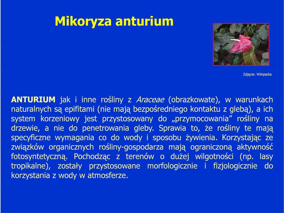 Sprawia to, że rośliny te mają specyficzne wymagania co do wody i sposobu żywienia.
