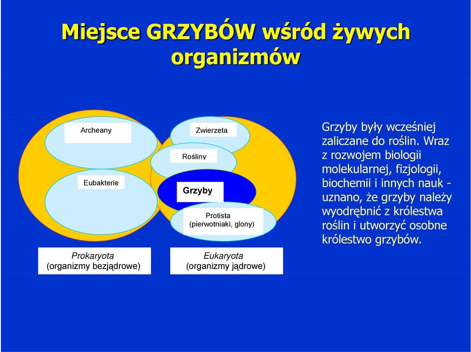 wcześniej zaliczane do roślin.