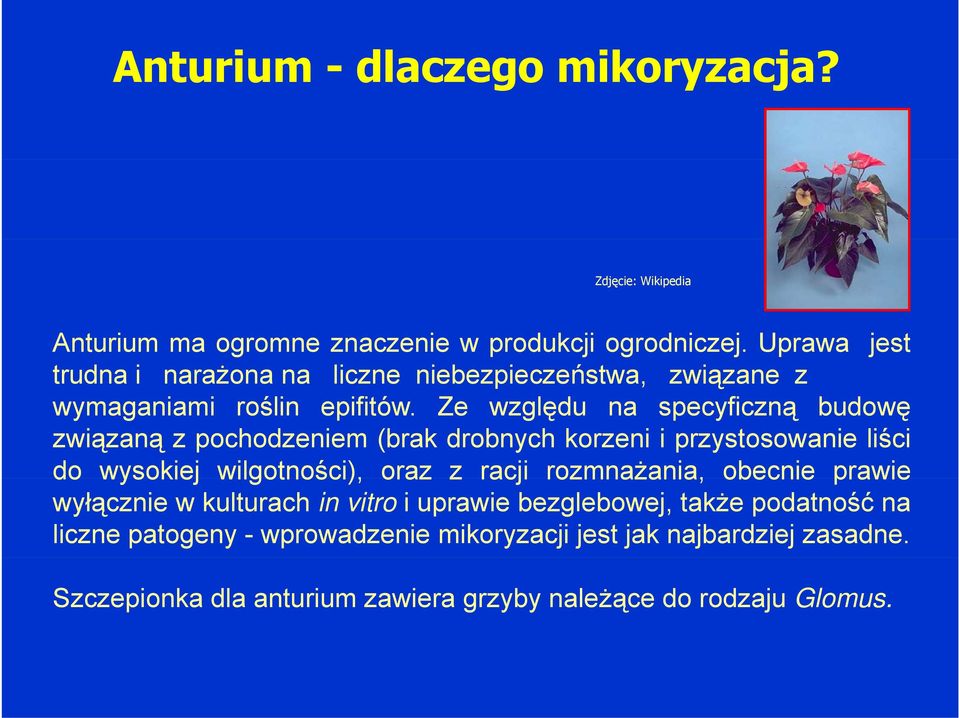 Ze względu na specyficzną budowę związaną z pochodzeniem (brak drobnych korzeni i przystosowanie liści do wysokiej wilgotności), oraz z racji