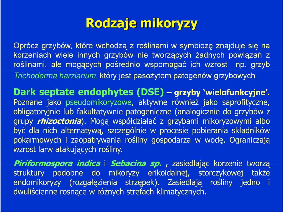 Poznane jako pseudomikoryzowe, aktywne również jako saprofityczne, obligatoryjnie lub fakultatywnie patogeniczne (analogicznie do grzybów z grupy rhizoctonia).
