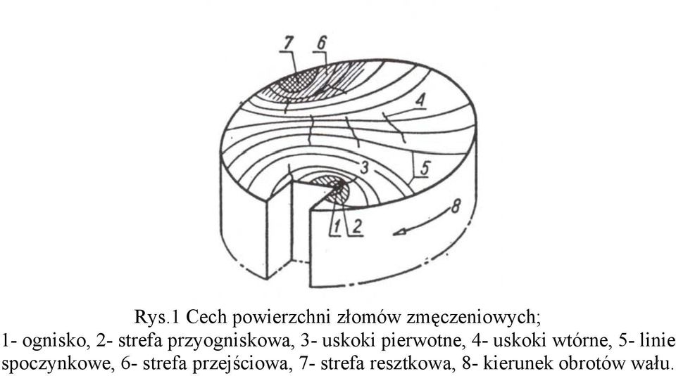 pierwotne, 4- uskoki wtórne, 5- linie spoczynkowe,