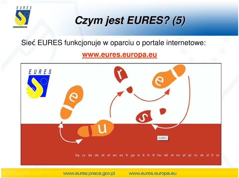 funkcjonuje w oparciu o