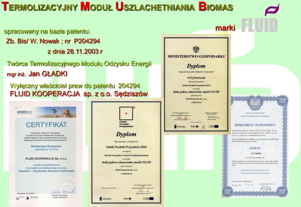 2003 r Twórca Termolizacyjnego Modułu Odzysku Energii mgr inż.