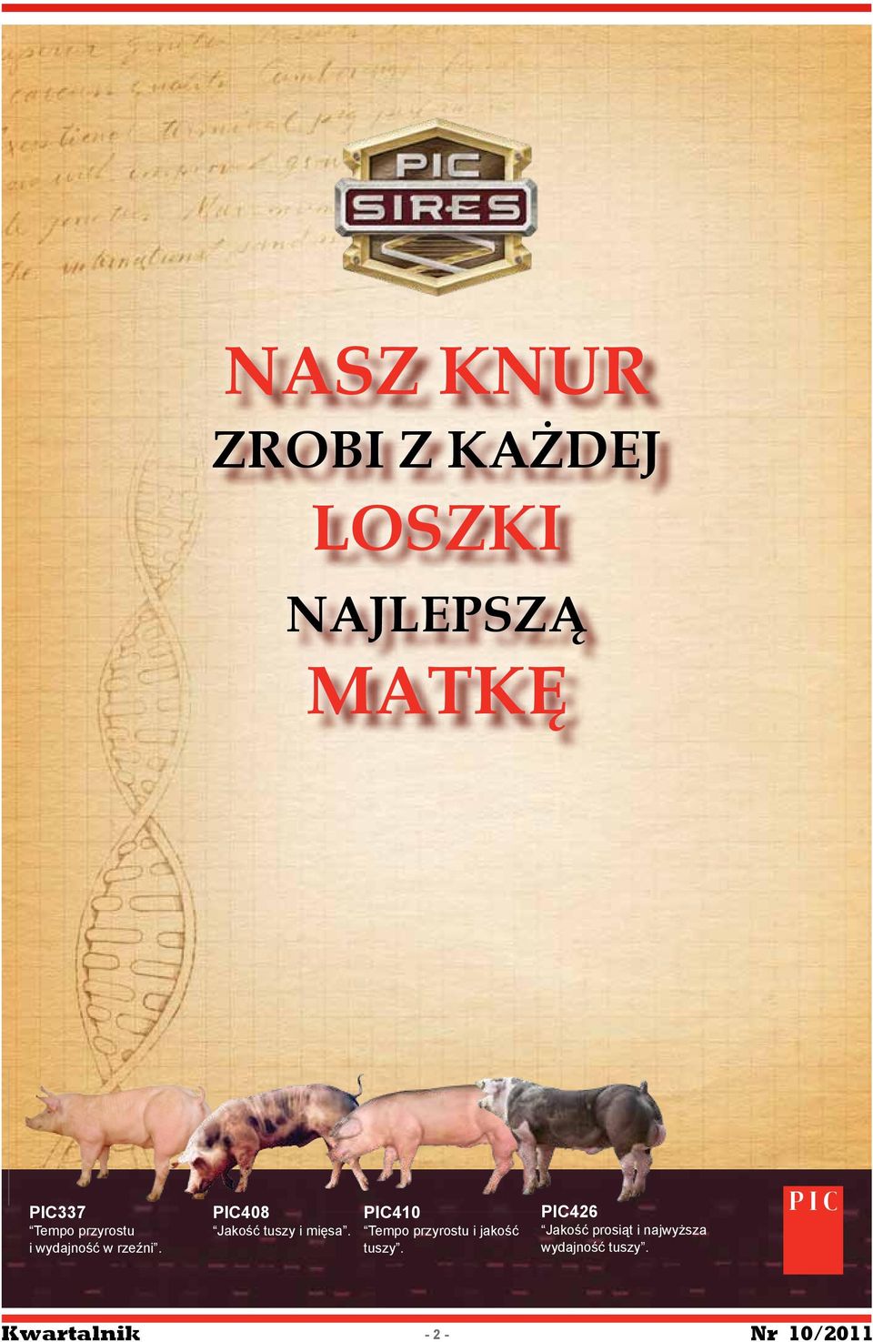 PIC408 Jakość tuszy i mięsa.