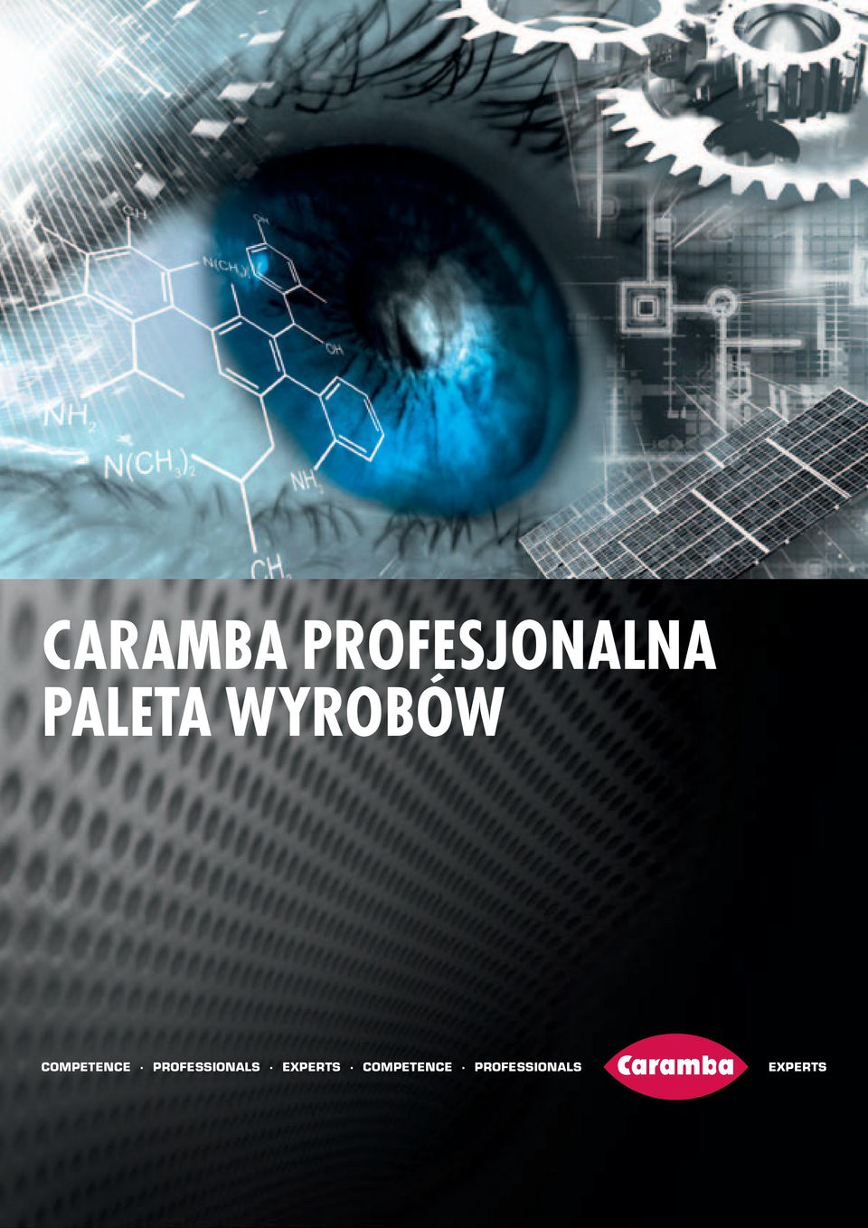 PROFESSIONALS EXPERTS