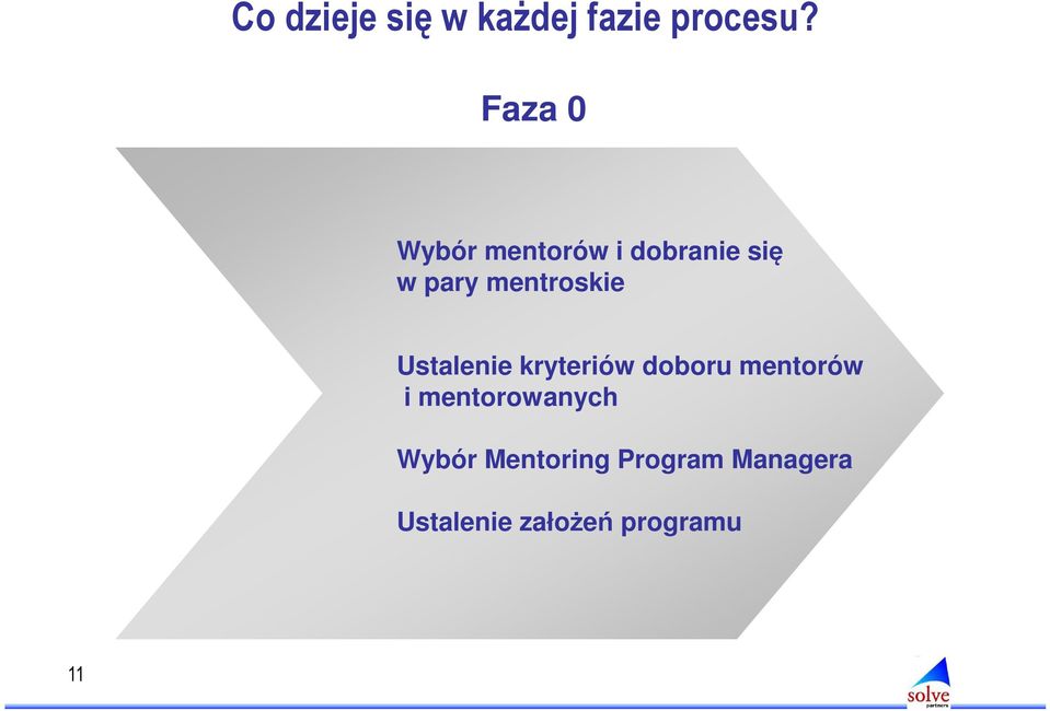 mentroskie Ustalenie kryteriów doboru mentorów i