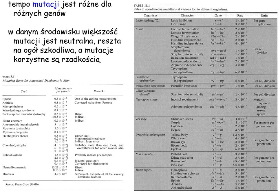 mutacji jest neutralna, reszta na ogół