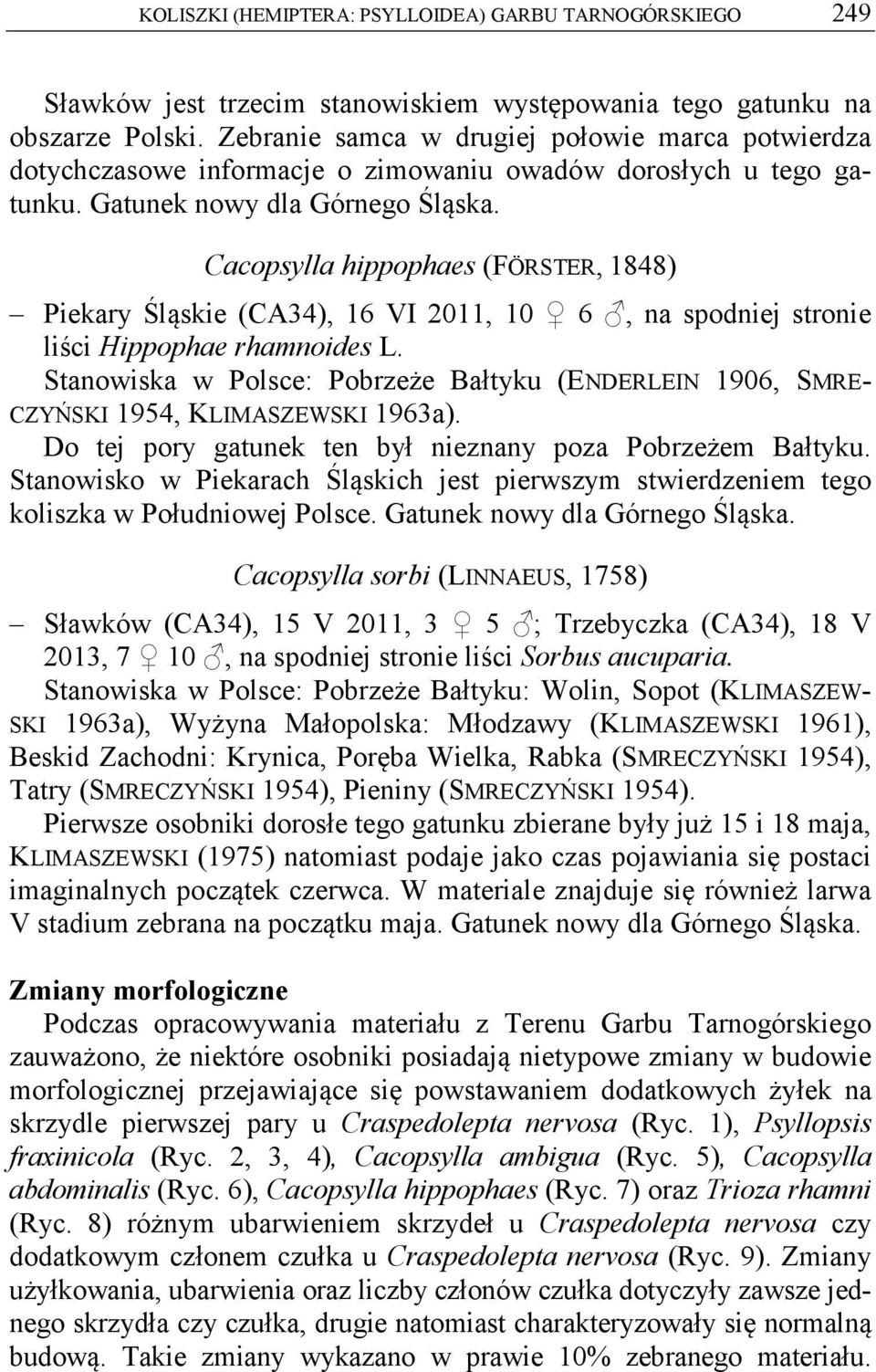 Cacopsylla hippophaes (FÖRSTER, 1848) Piekary Śląskie (CA34), 16 VI 2011, 10 6, na spodniej stronie liści Hippophae rhamnoides L.