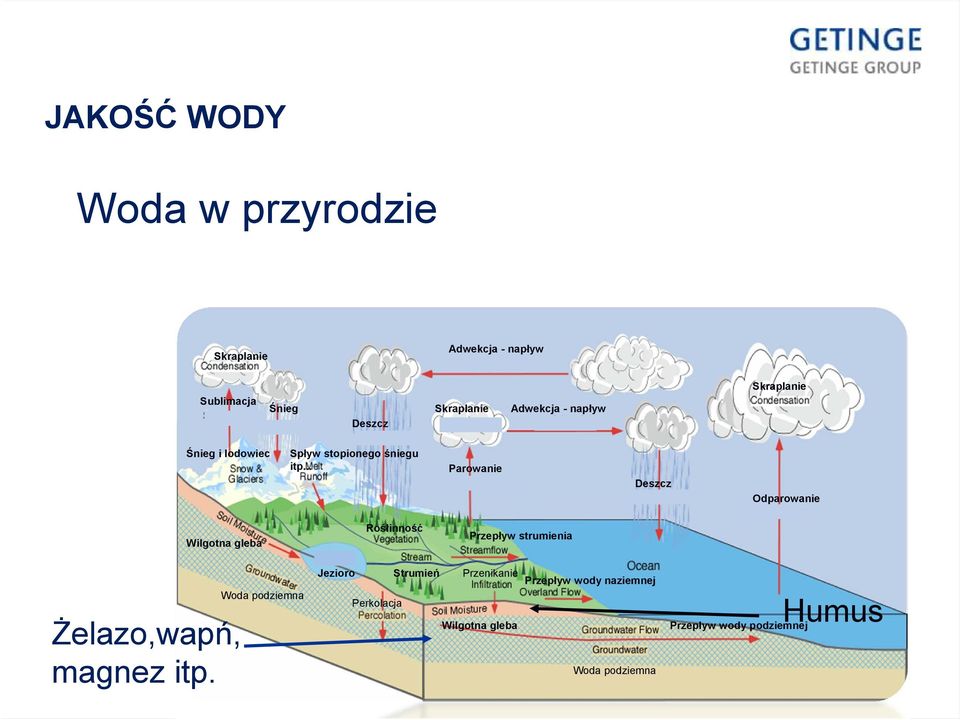 .. Parowanie Deszcz Odparowanie Wilgotna gleba Rośłinność Przepływ strumienia Żelazo,wapń, magnez itp.