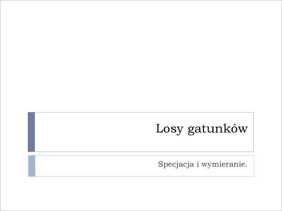 Specjacja