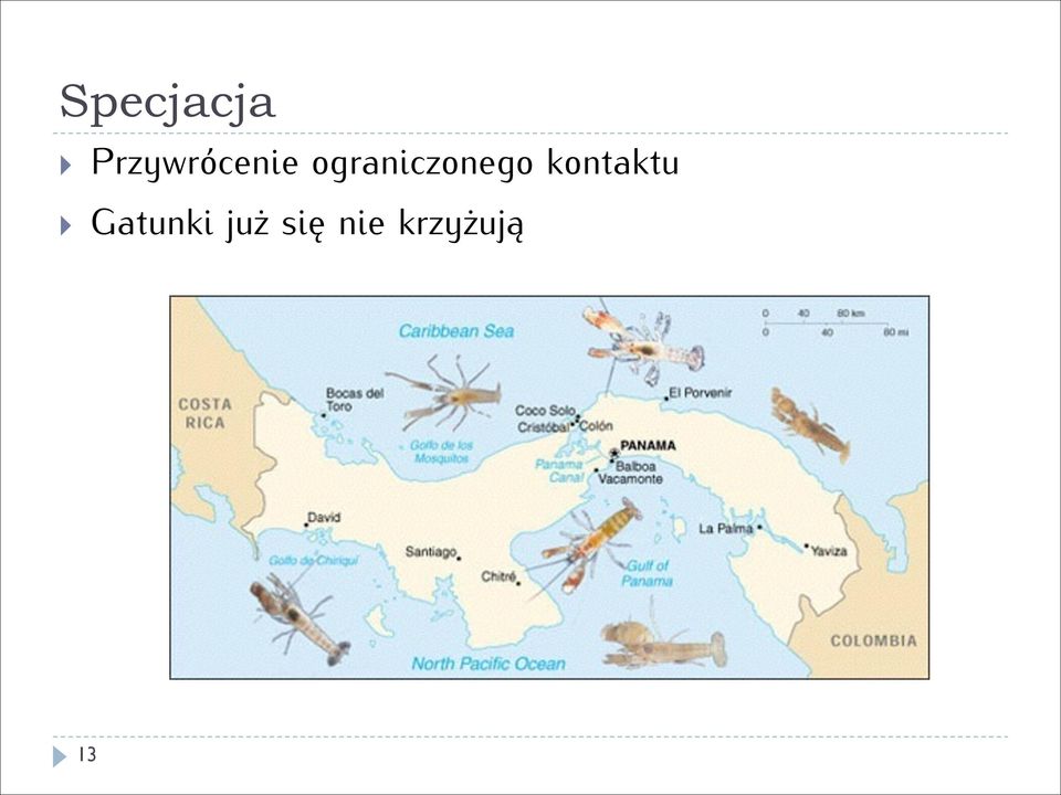 ograniczonego