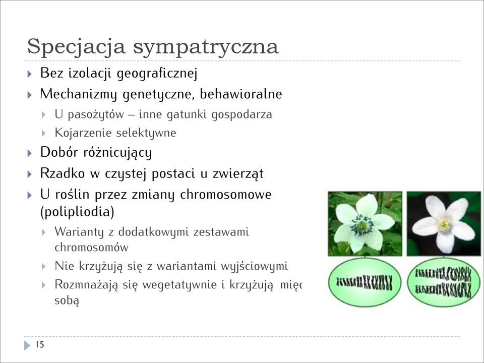 postaci u zwierząt U roślin przez zmiany chromosomowe (polipliodia) Warianty z dodatkowymi