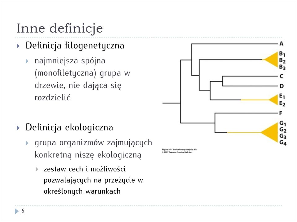 Definicja ekologiczna grupa organizmów zajmujących konkretną niszę
