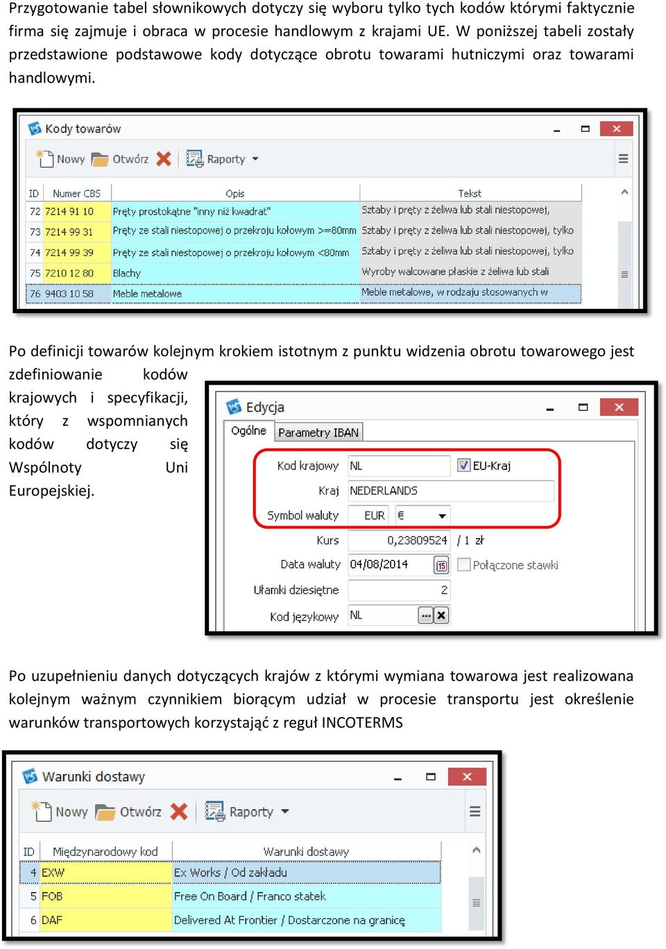 Po definicji towarów kolejnym krokiem istotnym z punktu widzenia obrotu towarowego jest zdefiniowanie kodów krajowych i specyfikacji, który z wspomnianych kodów dotyczy się