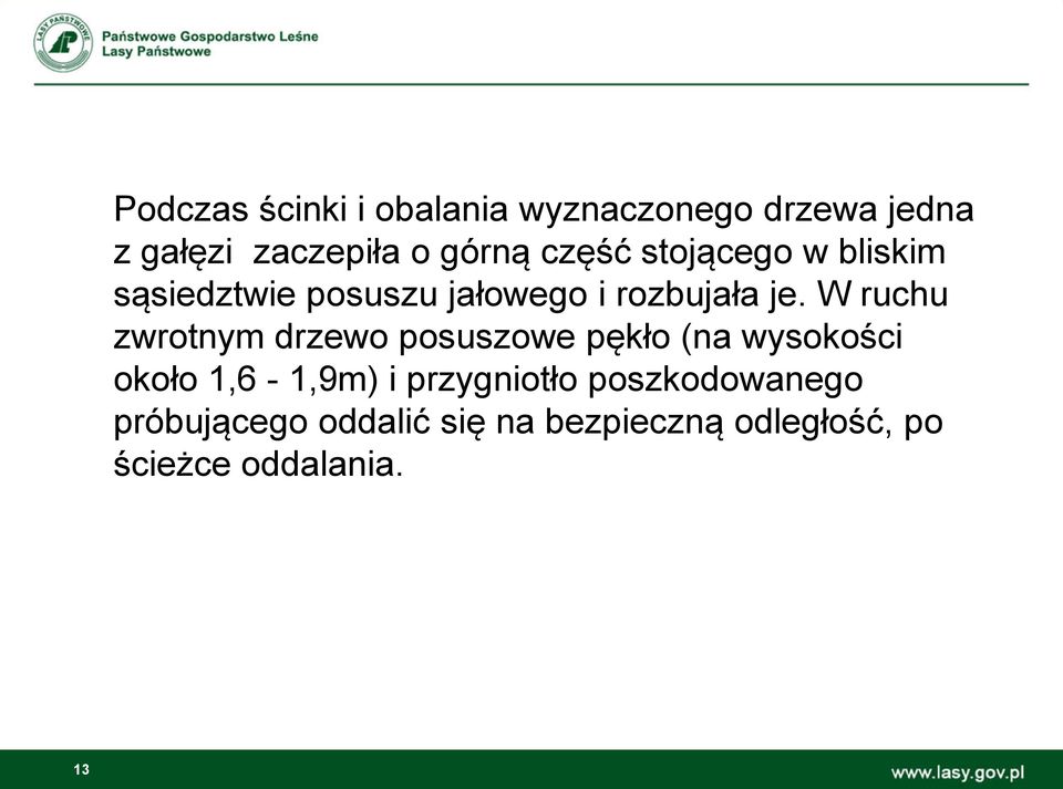 W ruchu zwrotnym drzewo posuszowe pękło (na wysokości około 1,6-1,9m) i