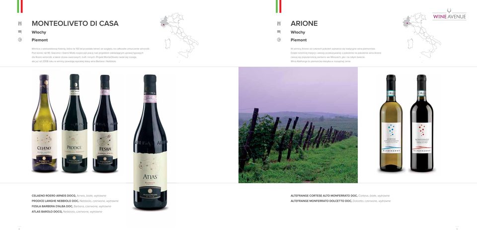 Projekt MonteOliveto nadal się rozwija, ale już od 2008 roku w winnicy powstają wysokiej klasy wina Barbera i Nebbiolo. W winnicy Arione od czterech pokoleń wytwarza się tradycyjne wina piemonckie.
