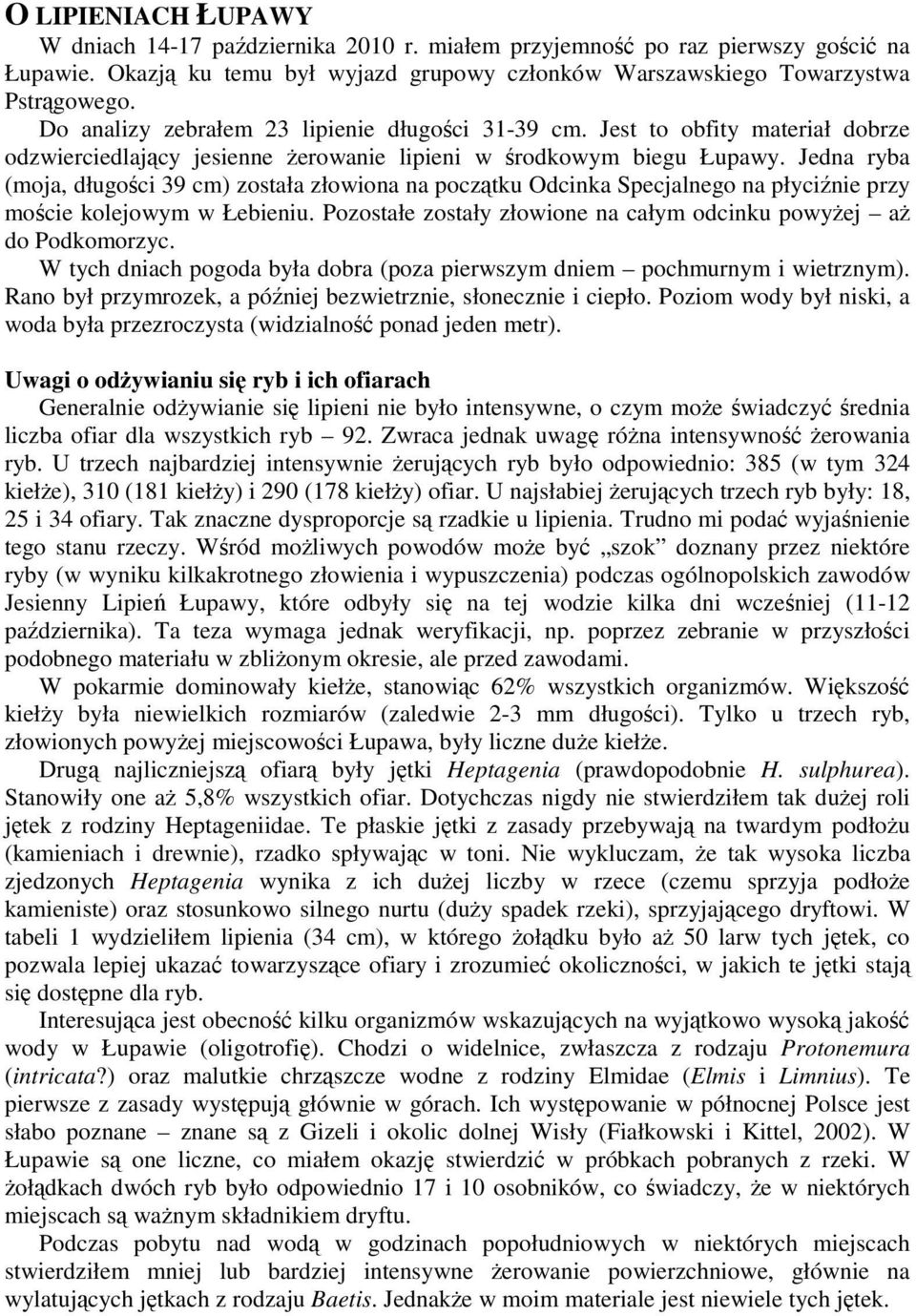 Duże czarne lebianie