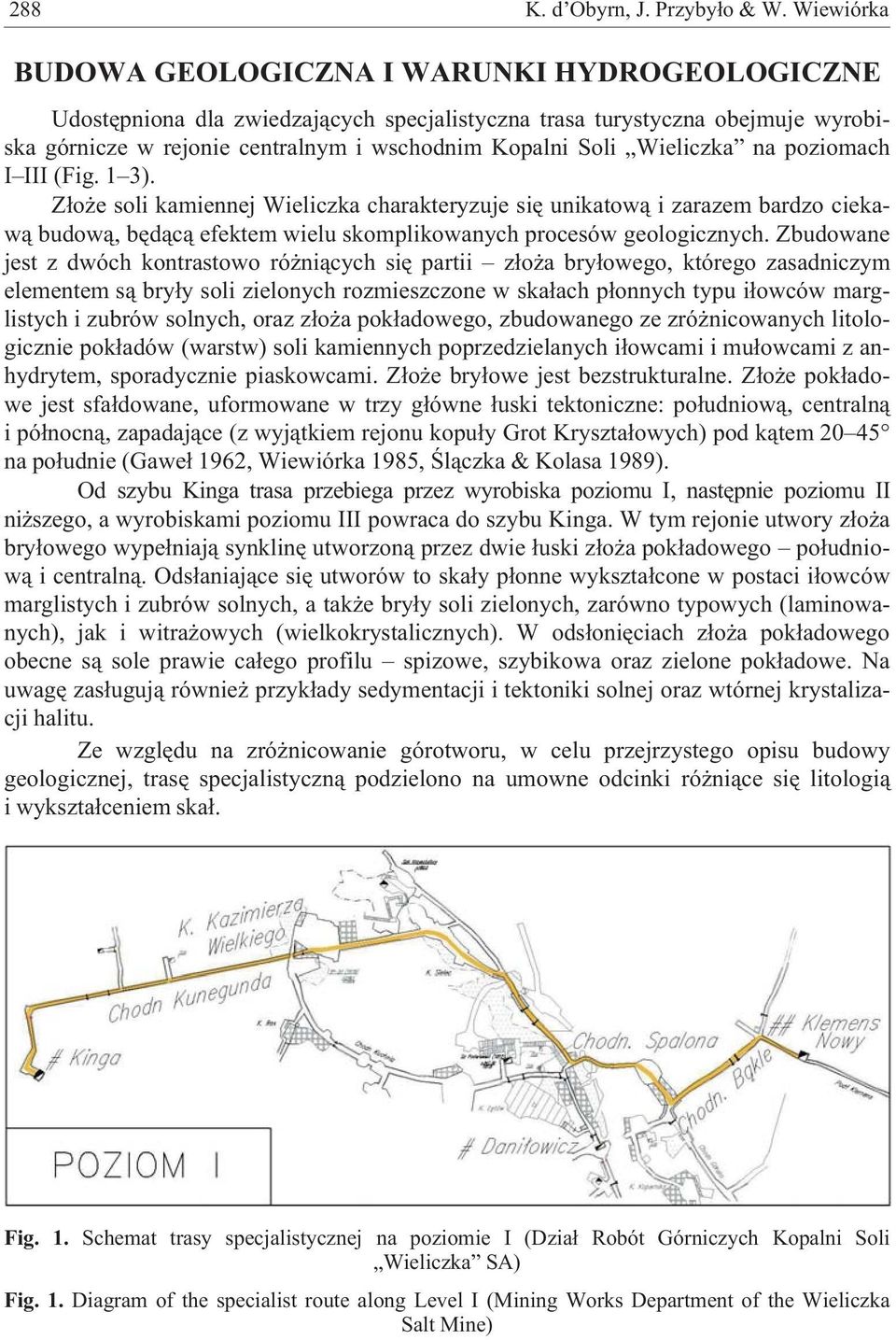 Wieliczka na poziomach I III (Fig. 1 3). Z³o e soli kamiennej Wieliczka charakteryzuje siê unikatow¹ i zarazem bardzo ciekaw¹ budow¹, bêd¹c¹ efektem wielu skomplikowanych procesów geologicznych.