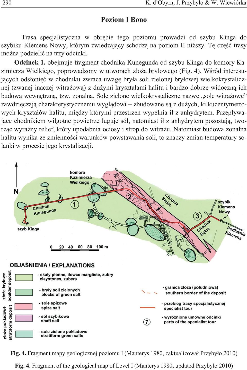Wœród interesuj¹cych ods³oniêæ w chodniku zwraca uwagê bry³a soli zielonej bry³owej wielkokrystalicznej (zwanej inaczej witra ow¹) z du ymi kryszta³ami halitu i bardzo dobrze widoczn¹ ich budow¹