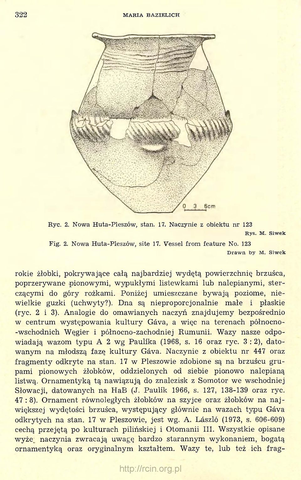 Poniżej umieszczane bywają poziome, niewielkie guzki (uchwyty?). Dna są nieproporcjonalnie małe i płaskie (ryc. 2 i 3).