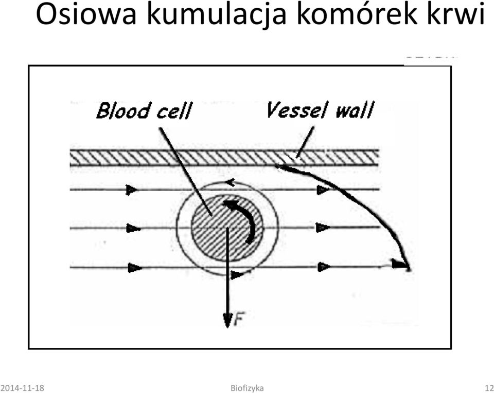 komórek krwi