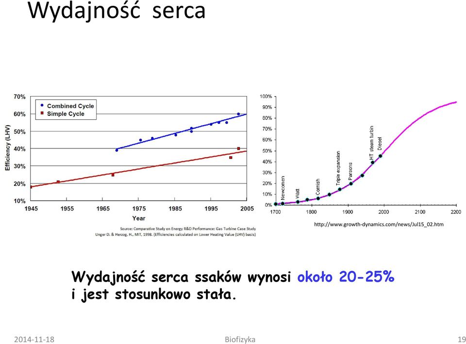 htm Wydajność serca ssaków wynosi