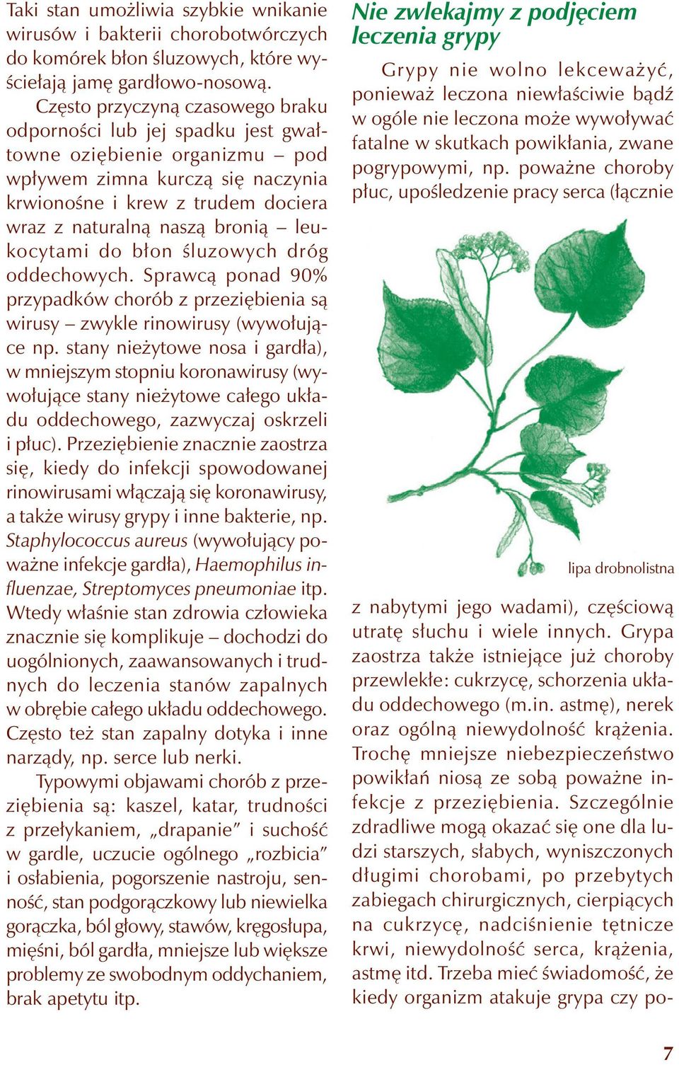 leukocytami do błon śluzowych dróg oddechowych. Sprawcą ponad 90% przypadków chorób z przeziębienia są wirusy zwykle rinowirusy (wywołujące np.