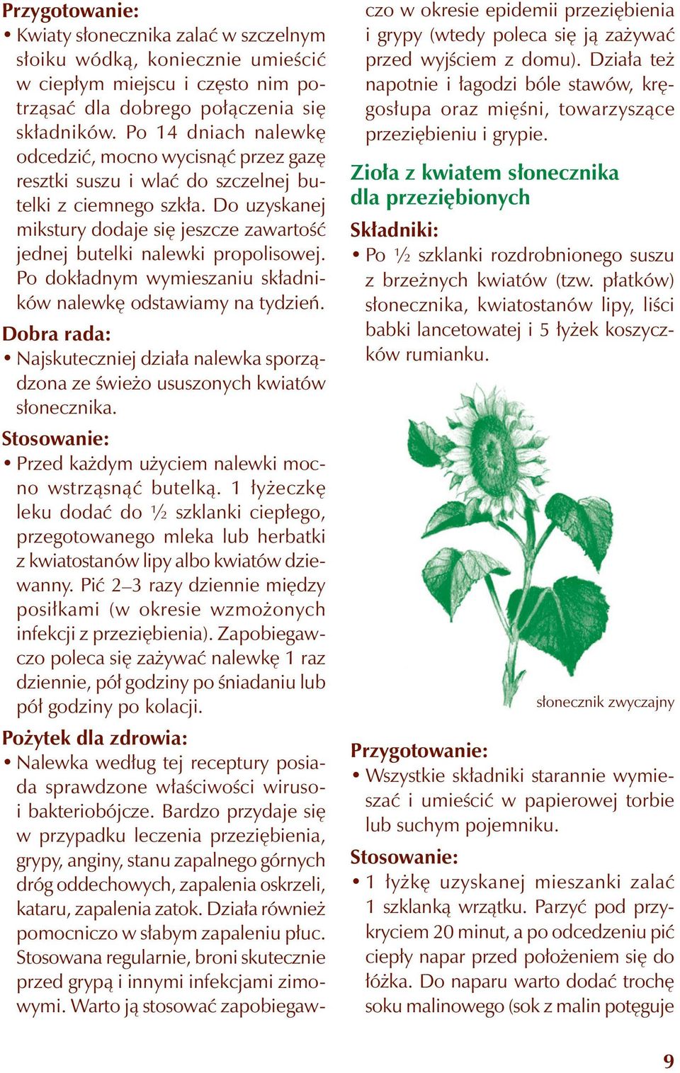 Do uzyskanej mikstury dodaje się jeszcze zawartość jednej butelki nalewki propolisowej. Po dokładnym wymieszaniu składników nalewkę odstawiamy na tydzień.