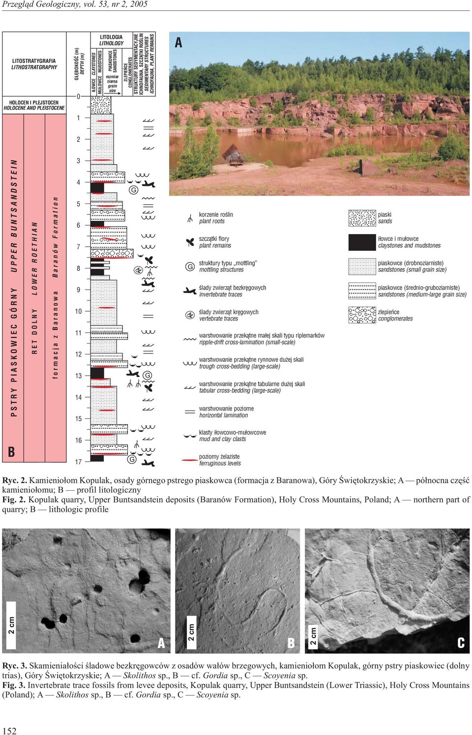 aranów Formation 3 4 5 6 7 8 9 10 11 12 13 14 15 korzenie roœlin plant roots szcz¹tki flory plant remains struktury typu mottling mottling structures œlady zwierz¹t bezkrêgowych invertebrate traces